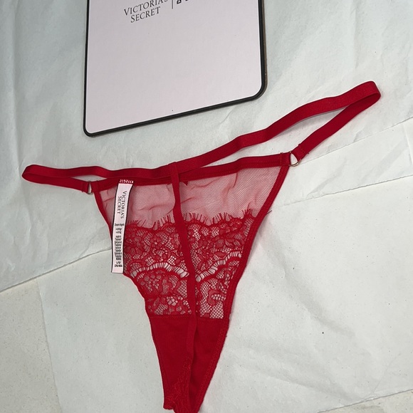 (L) Victoria's Secret Mesh & Lace VString (THONG) Panty - Picture 4 of 11